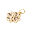 Rack Plating Brass Micro Pave Clear Cubic Zirconia Charms X-KK-Z060-13G-2