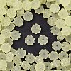 Frosted Transparent Acrylic Beads OACR-P029-03B-03-1