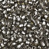 Silver Lined Glass Seed Beads SEED-T007-18A-04-3