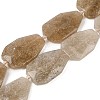 Natural Gold Strawberry Quartz Beads Strands G-P548-B12-01-1