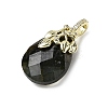 Natural Labradorite Faceted Teardrop Pendants KK-D021-03F-G-2