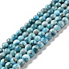 Natural Apatite Beads Strands G-G858-01B-1
