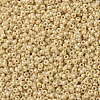 MIYUKI Round Rocailles Beads X-SEED-G007-RR0488-2