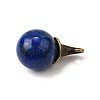 Natural Lapis Lazuli Round Pendants with Alloy Witch Hat G-D311-01AB-02-2