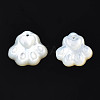 Natural White Shell Charms SSHEL-S258-98A-2