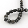 Natural Labradorite Round Bead Strands G-R342-6mm-09-3