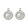 Non-Tarnish 304 Stainless Steel Charms LS-STAS-L269-062P-2