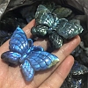Dyed Natural Labradorite Carved Display Decorations PW-WG38302-02-1