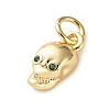 Brass Micro Pave Cubic Zirconia Charms LS-KK-I383-08G-02-2