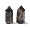 Natural Labradorite Sculpture Display Decoration G-A205-27A-2