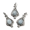 Natural Mixed Gemstone Pendants G-C096-03P-2