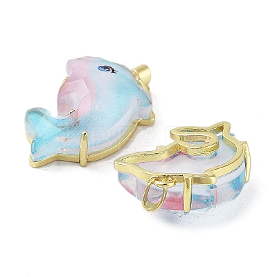 Translucent Resin Pendants KK-G482-11G-1