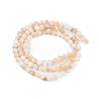 Natural Freshwater Shell Beads Strands SHEL-T011-02-2mm-1
