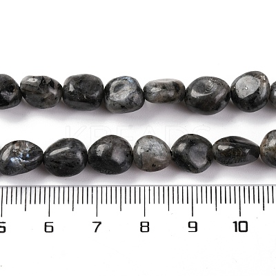 Natural Larvikite Beads Strands G-G146-A13-01-1