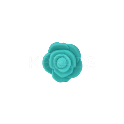 Food Grade Eco-Friendly Silicone Focal Beads LS-FIND-PW0005-03Q-1