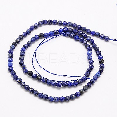 Natural Lapis Lazuli Beads Strands G-G545-18-1