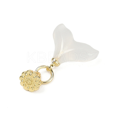 Natural White Agate Charms KK-Z094-04G-03-1