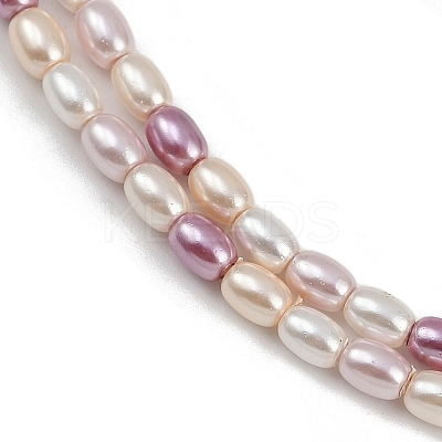 Electroplated Shell Pearl Beads Strands BSHE-H113-06B-01-1