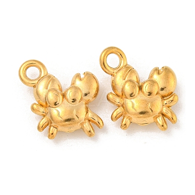Ion Plating(IP) 304 Stainless Steel Charms STAS-N103-81G-1