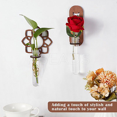 2 Sets 2 Styles Wall Hanging Terrarium Planter with Plastic Tube ODIS-GA0001-53B-1