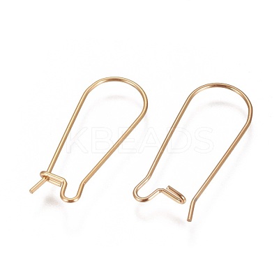 Ion Plating(IP) 304 Stainless Steel Hoop Earrings Findings Kidney Ear Wires X-STAS-L216-22B-G-1