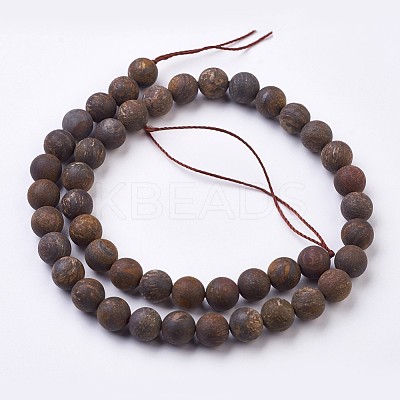 Natural Bronzite Bead Strands G-J376-32-8mm-1