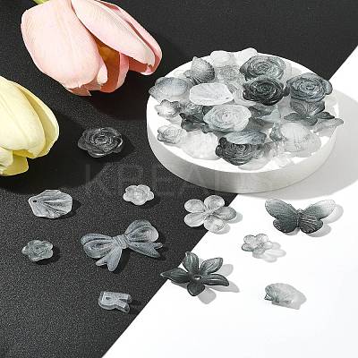 60G Transparent Acrylic Beads OACR-FS0001-90D-1