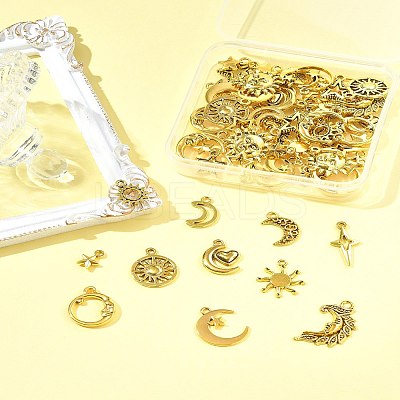 Tibetan Style Alloy Pendants FIND-FS0003-93-1