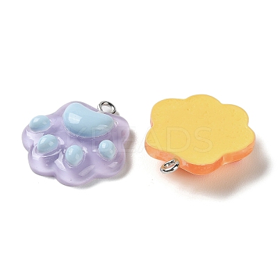Cartoon Translucent Resin Pendants X-RESI-D071-01-1