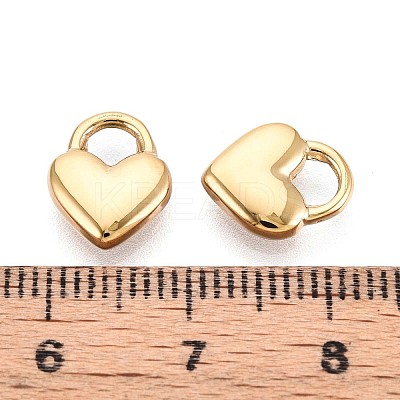 304 Stainless Steel Charms STAS-N109-194G-1