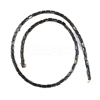 Natural Freshwater Shell Beads Strands BSHE-H109-17E-1