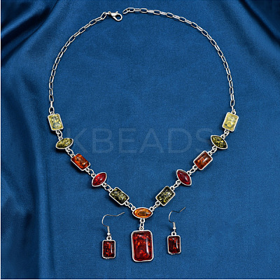 Rectangle Horse Eye Alloy & Resin Pendant Necklaces & Dangle Earrings Sets FS-WGE4E7B-01-1