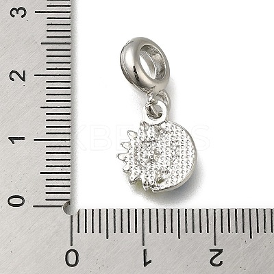 Rack Plating Alloy Enamel European Dangle Charms PALLOY-A009-13P-1