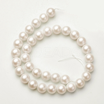 Shell Imitated Pearl Bead Strands BSHE-F0014-10mm-10-1
