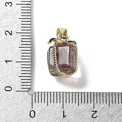 Natural Amethyst Gift Box Charms LS-G-P523-01G-05-1