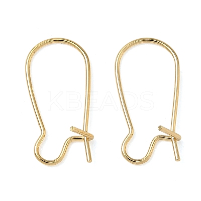 Brass Hoop Earring Findings KK-F824-009G-1