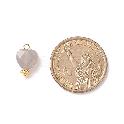 Natural Grey Agate Charms PALLOY-JF01863-04-1