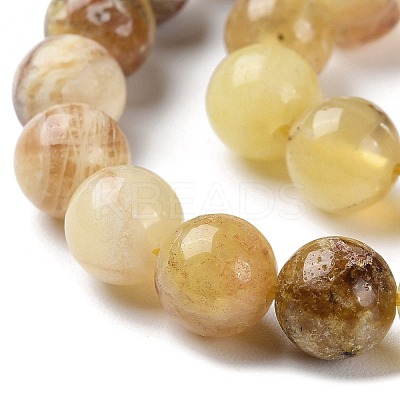 Natural Yellow Opal Beads Strands G-Q1001-A01-02-1