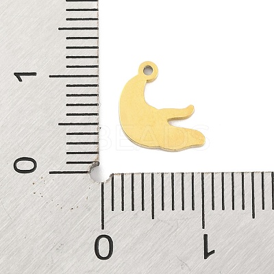 Ion Plating(IP) 304 Stainless Steel Charms STAS-N103-194G-11-1