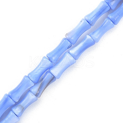 Natural Freshwater Shell Beads Strands SHEL-G013-01-1