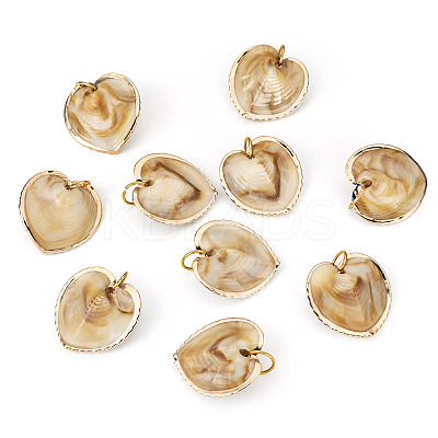 10Pcs Natural Shell Pendants PALLOY-TAC0204-1