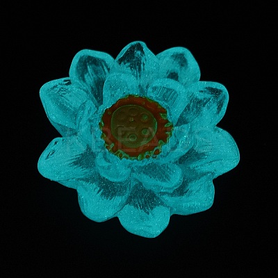 Luminous Transparent Resin Decoden Cabochons LS-CRES-F032-B02-1