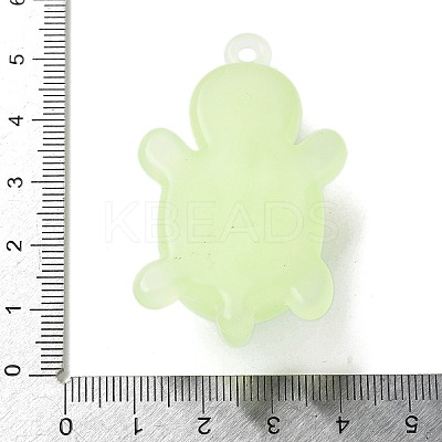 Luminous PVC Pendants LS-KY-P019-01A-1