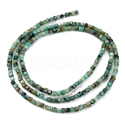 Natural African Turquoise(Jasper) Beads Strands G-A02-02-1