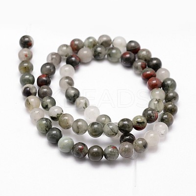 Natural African Bloodstone Beads Strands G-G735-32-10mm-1