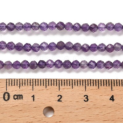 Natural Amethyst Beads Strands X-G-K373-B03-03-1