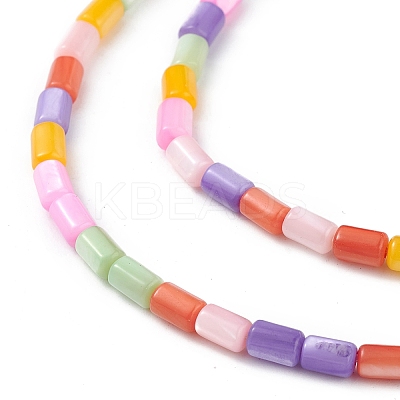 Natural Freshwater Shell Dyed Beads Strands X-SHEL-M018-12-13-1