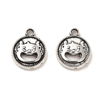 Tibetan Style Alloy Charmss LS-FIND-C043-037AS-1