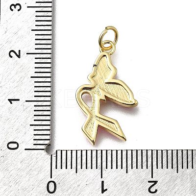 October Breast Cancer Pink Awareness Ribbon Brass Enamel Pendants LS-KK-G525-10G-03-1