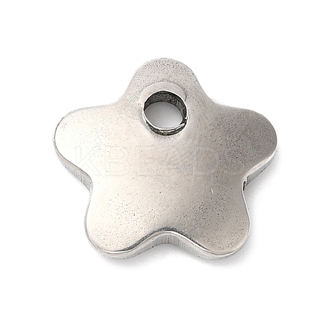 304 Stainless Steel Pendants LS-STAS-D049-02B-1